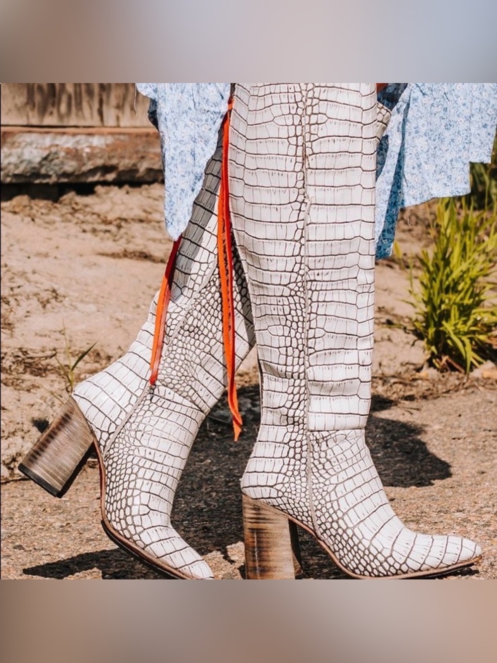 Freebird Jasper White Black Croc Embossed Tall Leather Boots Size 6 Sold Out